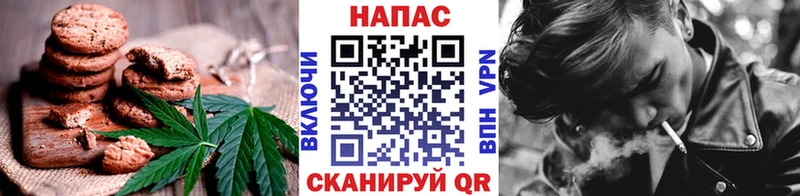 цена   Западная Двина  Canna-Cookies конопля 