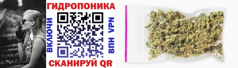 Бошки Шишки Bruce Banner  купить   Западная Двина 